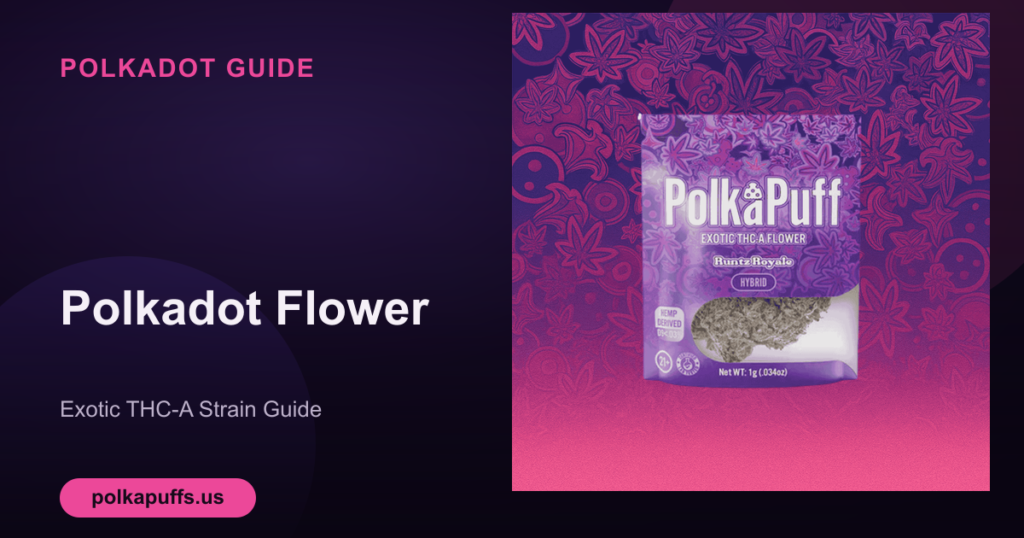 Polkadot Flower Guide Thumbnail